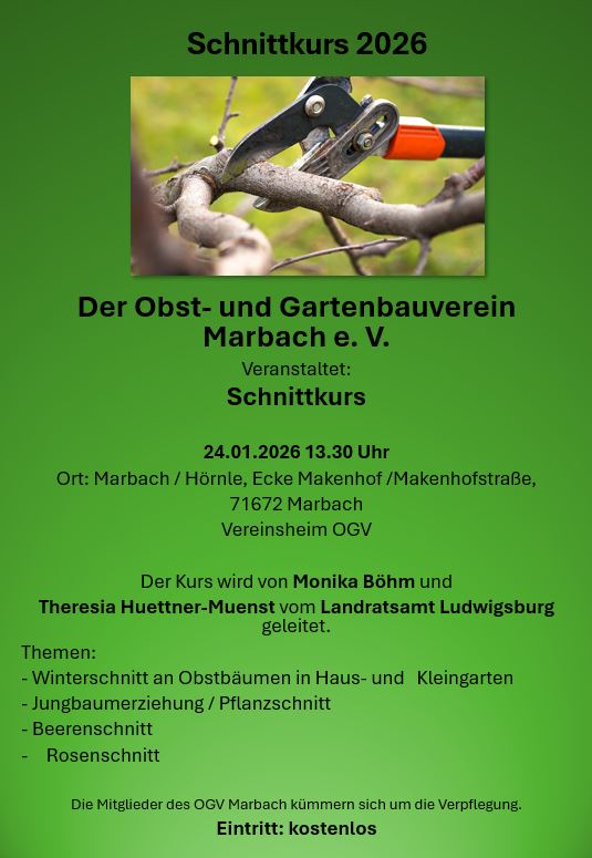 Schnittkurs